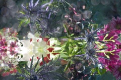 Andrea Bonfils - Jardín sumergido 0262, Fotografía 2017, Impresión posterior