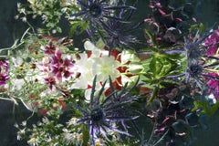 Andrea Bonfils - Submerged Garden 0292, Photography 2018, Printed After