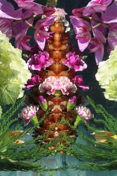 Andrea Bonfils - Jardín sumergido 0312, Fotografía 2018, Impresión posterior