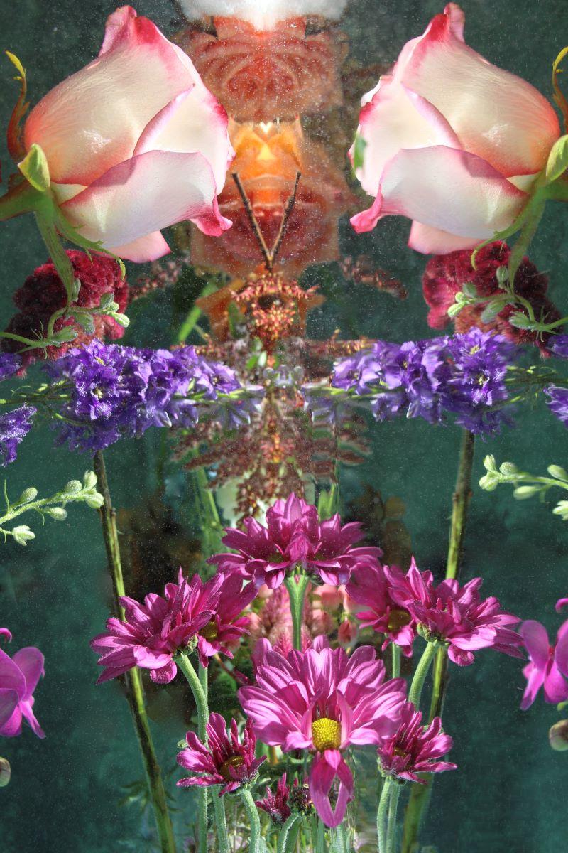 Andrea Bonfils - Submerged Garden 0674, photographie 2018, imprimée d
après