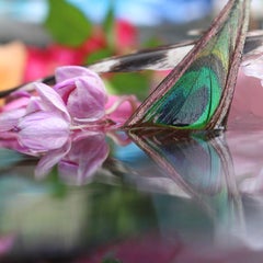 Andrea Bonfils - Submerged Garden 2505, photographie 2018, imprimée d'après