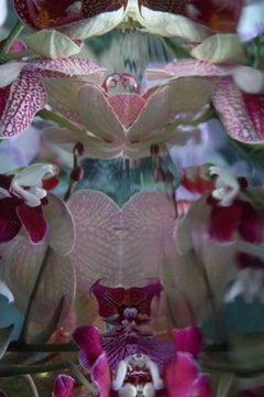 Andrea Bonfils - Jardín sumergido 2929, Fotografía 2018, Impresión posterior