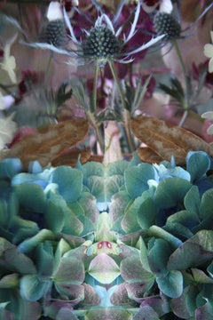 Andrea Bonfils - Jardín Sumergido 3171, Fotografía 2017, Impresión posterior