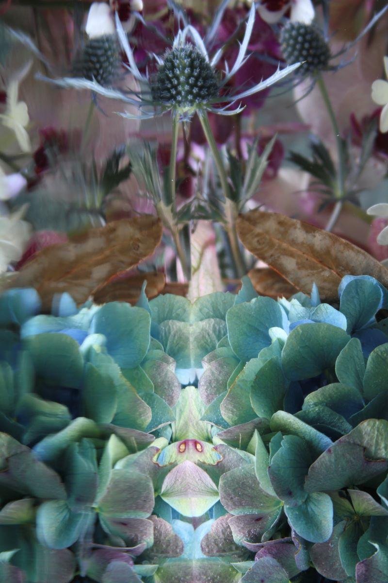 Andrea Bonfils - Giardino sommerso 3171, Fotografia 2017, Stampato Dopo