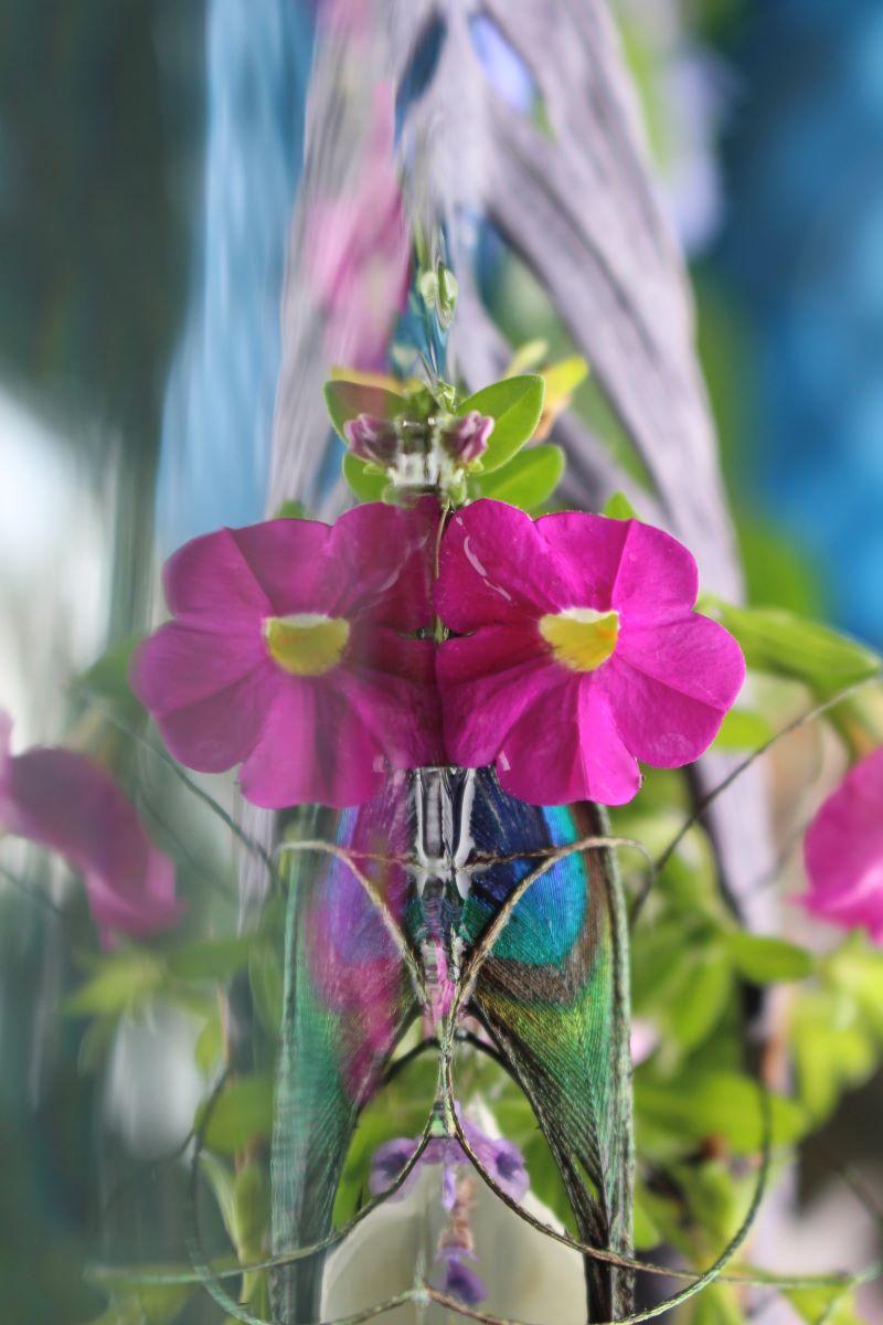 Andrea Bonfils - Submerged Garden 3806, photographie 2018, imprimée d'après