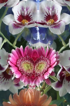 Andrea Bonfils - Submerged Garden 3968, photographie de 2016, imprimée d'après