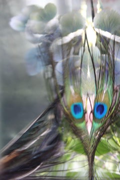 Andrea Bonfils - Submerged Garden 4046, photographie 2018, imprimée d'après