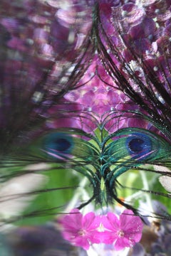 Andrea Bonfils - Jardín Sumergido 4081, Fotografía 2018, Impresión posterior