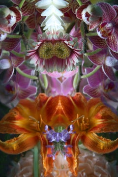 Andrea Bonfils - Submerged Garden 4662, photographie 2018, imprimée d'après