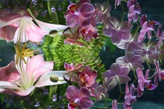 Andrea Bonfils - Jardín Sumergido 4836, Fotografía 2018, Impresión posterior