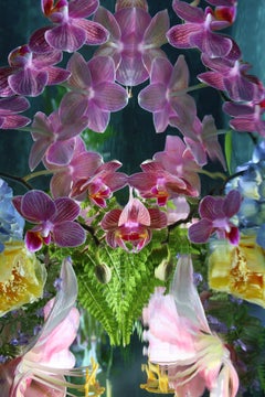 Andrea Bonfils - Jardín Sumergido 4848, Fotografía 2018, Impresión posterior