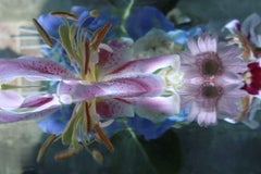 Andrea Bonfils - Submerged Garden 5645, photographie 2017, imprimée d'après