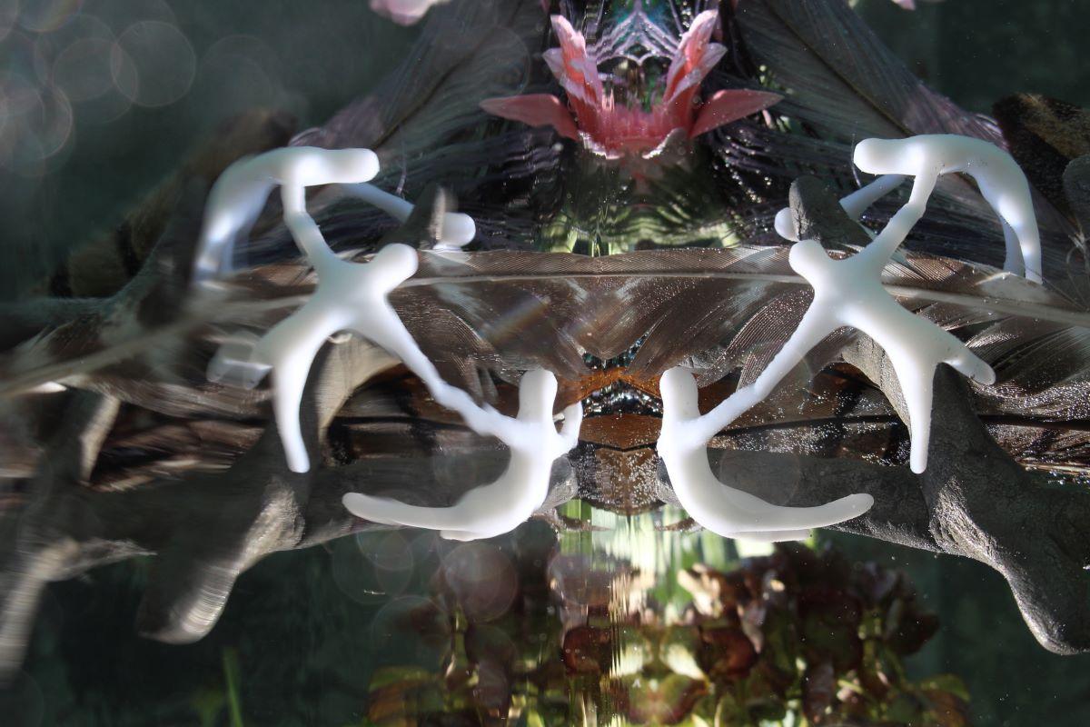 Andrea Bonfils - Submerged Garden 6100, Photography 2017, Printed After