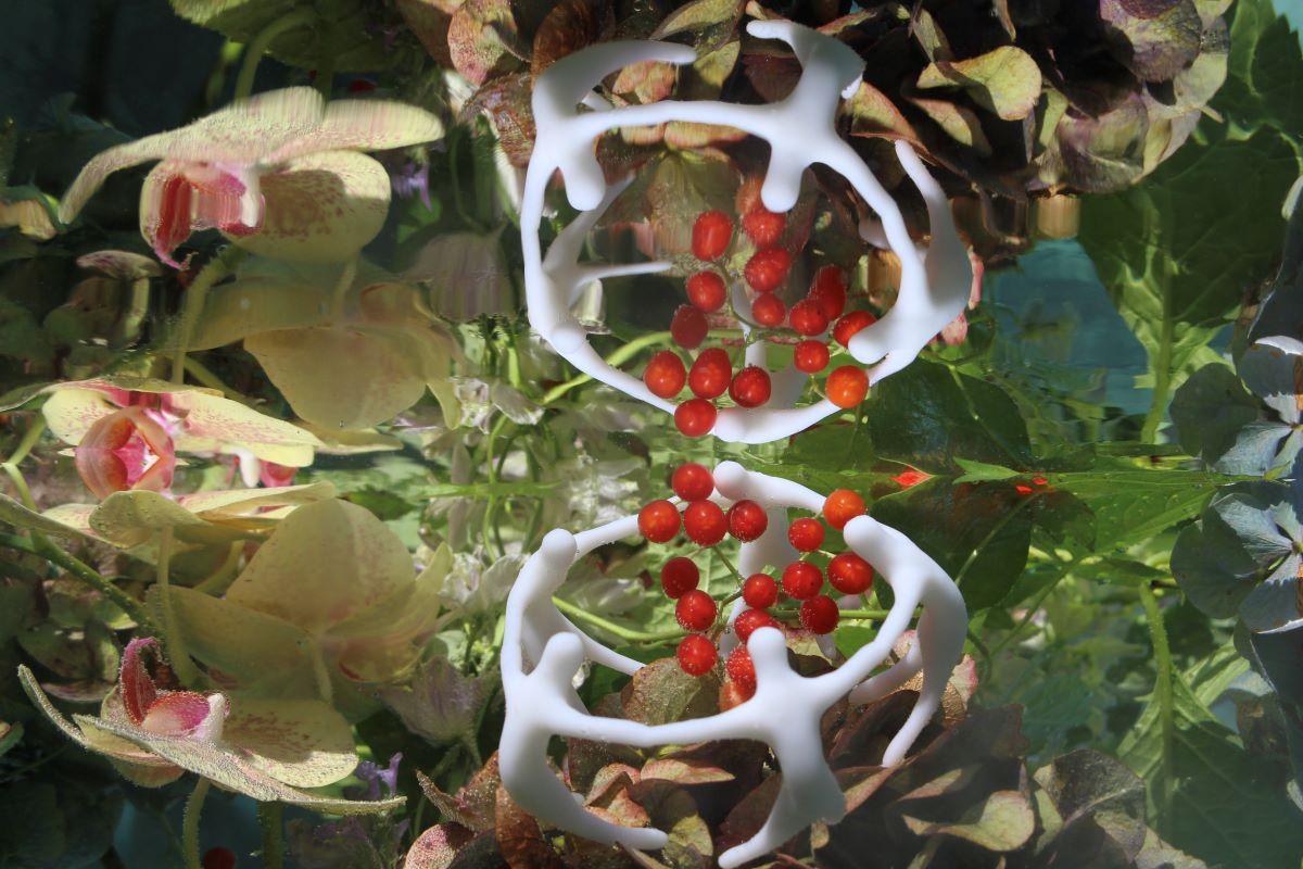 Andrea Bonfils - Submerged Garden 6191, Photography 2017, Printed After