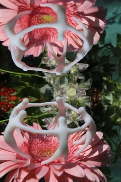 Andrea Bonfils - Jardín sumergido 6243, Fotografía 2018, Impresión posterior