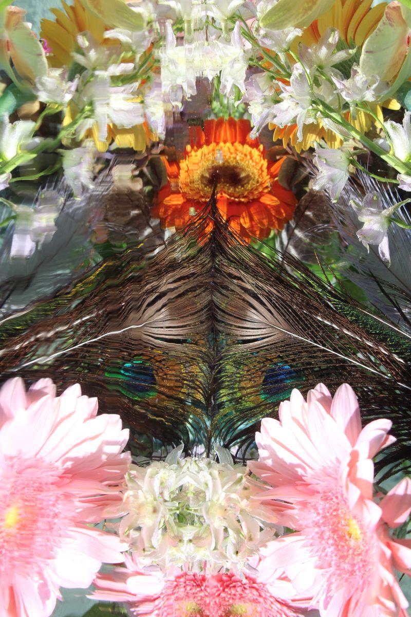 Andrea Bonfils - Submerged Garden 6363, photographie 2018, imprimée d'après