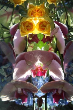 Andrea Bonfils - Jardín sumergido 6411, Fotografía 2015, Impresión posterior
