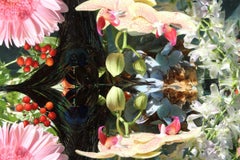 Andrea Bonfils - Jardín sumergido 6428, Fotografía 2017, Impresión posterior