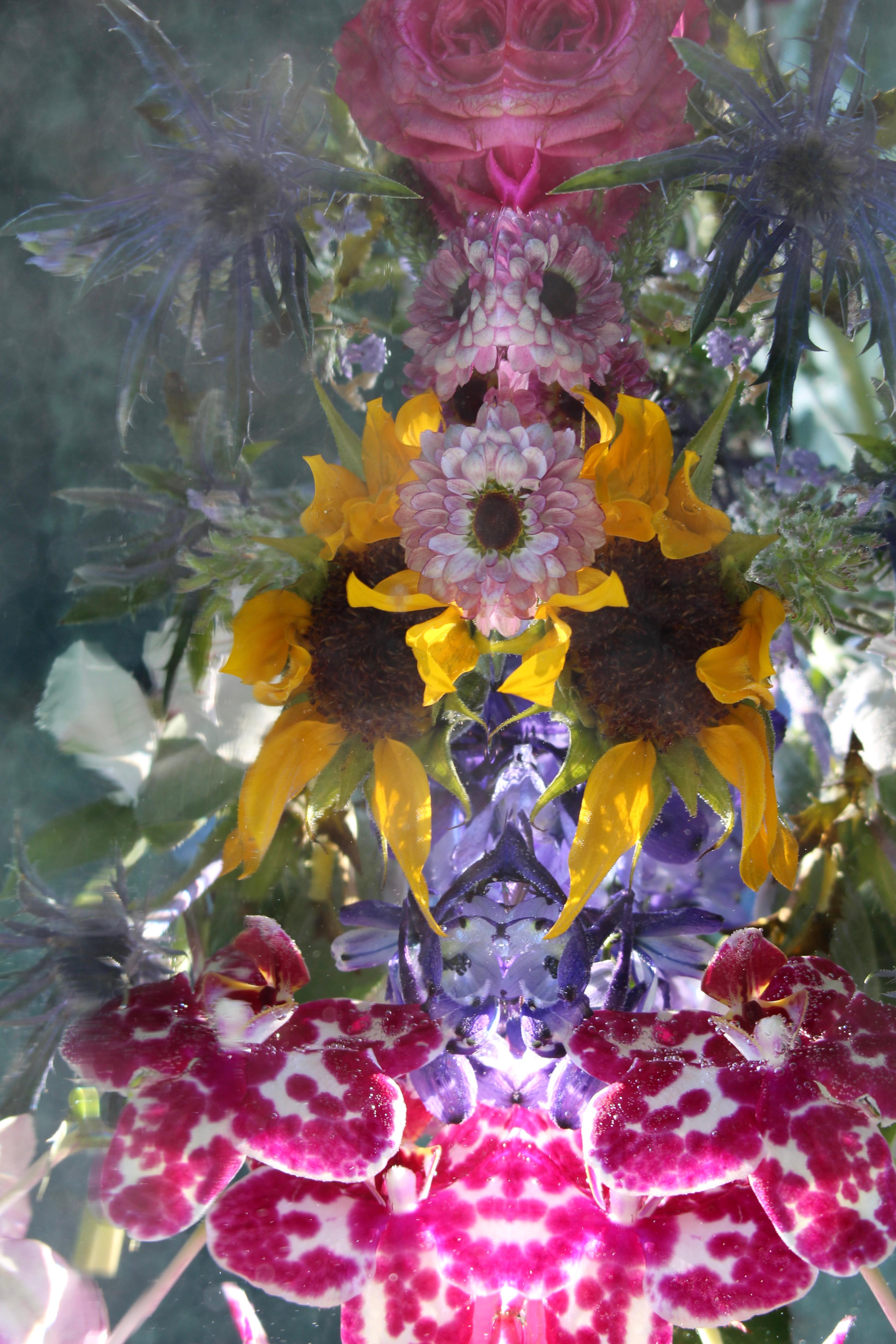 Andrea Bonfils - Submerged Garden 6496, photographie 2018, imprimée d
après