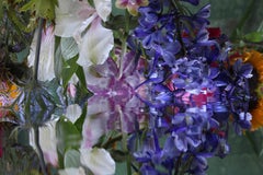 Andrea Bonfils - Submerged Garden 6608, Photography 2018, Printed After