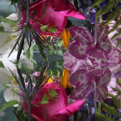 Andrea Bonfils - Submerged Garden 6637,  Fotografie 2018, Nachdruck gedruckt