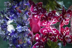 Andrea Bonfils - Giardino sommerso 6665,  Fotografia 2018, Stampato dopo