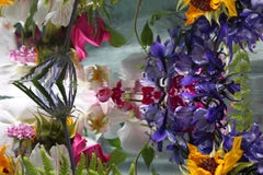 Andrea Bonfils - Giardino sommerso 6859,  Fotografia 2018, Stampato dopo