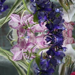 Andrea Bonfils - Giardino Sommerso 6885, Fotografia 2018, Stampato Dopo