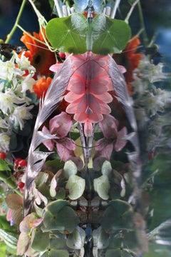 Andrea Bonfils - Jardín sumergido 7206, Fotografía 2018, Impresión posterior