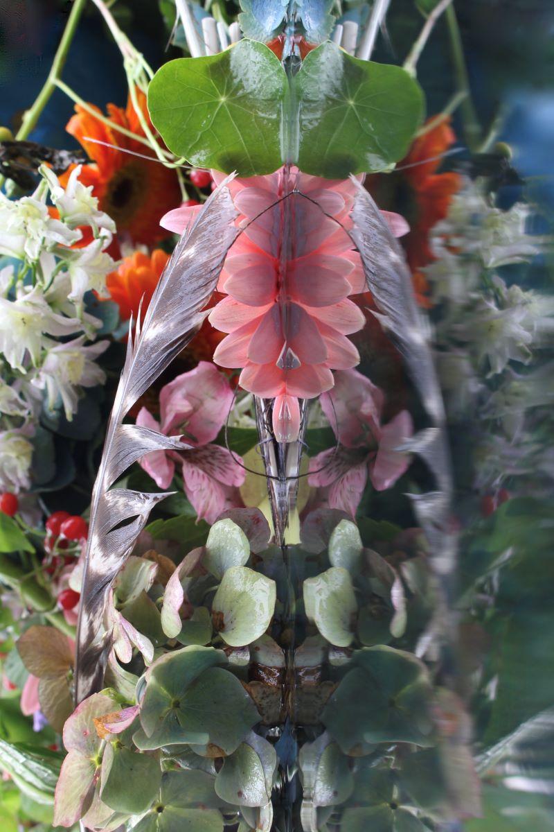 Andrea Bonfils - Submerged Garden 7206, photographie 2018, imprimée d'après