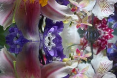 Andrea Bonfils - Submerged Garden 7371, Photography 2017, Printed After