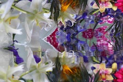 Andrea Bonfils - Submerged Garden 7394, Photography 2018, Printed After