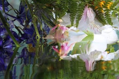 Andrea Bonfils - Submerged Garden 7444, Photography 2018, Printed After