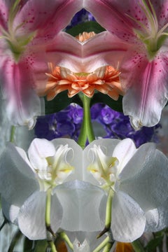 Andrea Bonfils - Submerged Garden 7471, Photography 2018, Printed After