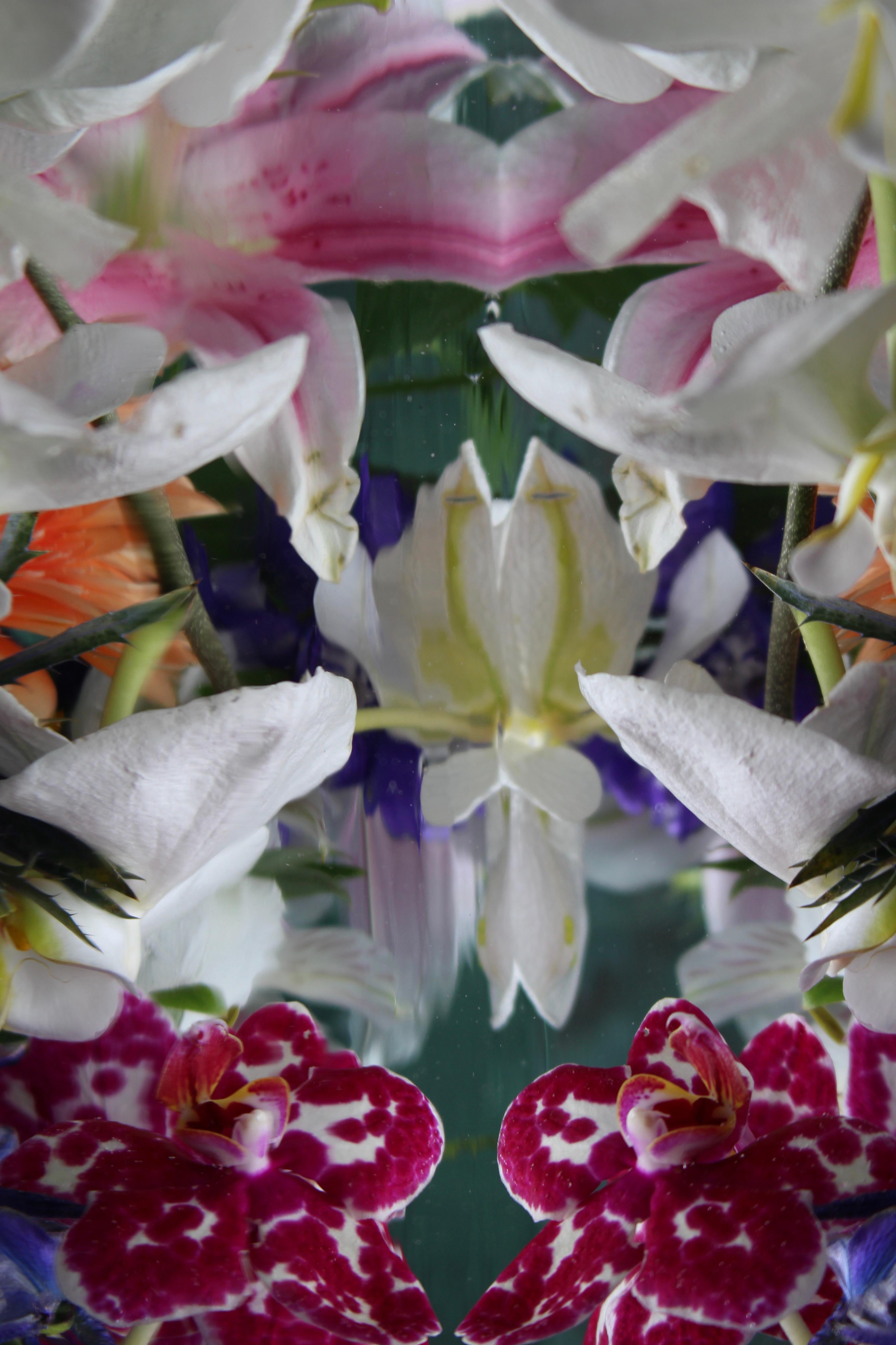 Andrea Bonfils - Submerged Garden 7516, photographie 2018, imprimée d
après