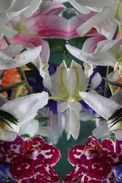 Andrea Bonfils - Submerged Garden 7516, Photography 2018, Printed After