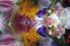 Andrea Bonfils - Submerged Garden 7720, Photography 2017, Printed After