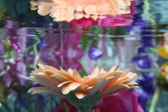 Andrea Bonfils - Submerged Garden 7755, Photography 2018, Printed After