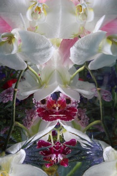 Andrea Bonfils - Giardino sommerso 7786, Fotografia 2018, Stampato Dopo