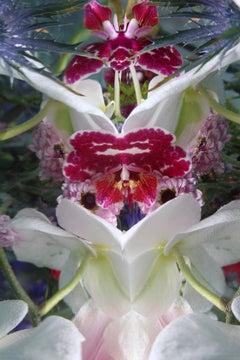 Andrea Bonfils - Submerged Garden 7792, Photography 2018, Printed After