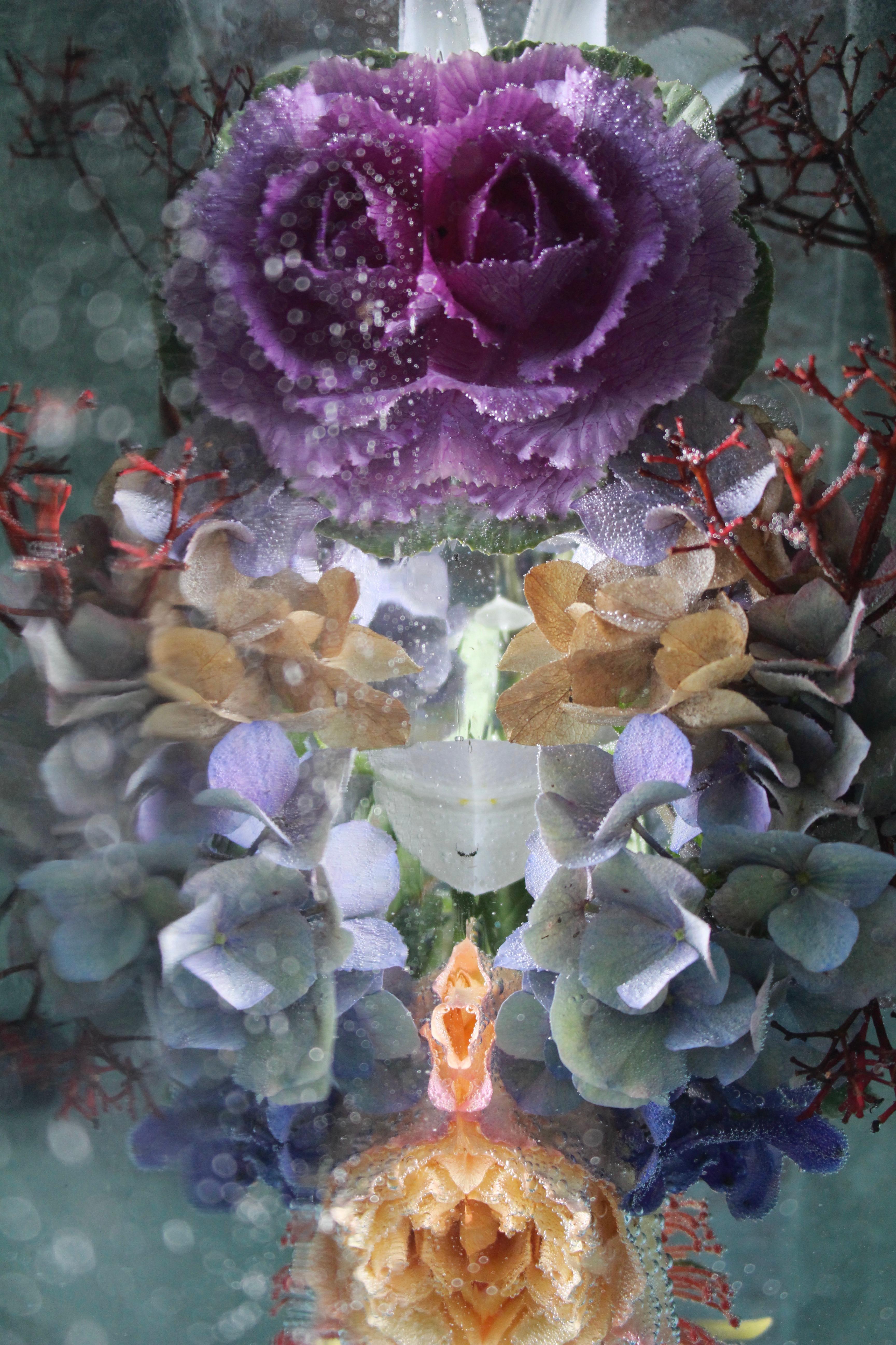Andrea Bonfils - Submerged Garden 8057, Photography 2017, Printed After