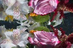 Andrea Bonfils - Submerged Garden 8077, Photography 2018, Printed After