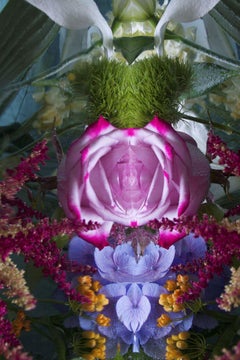 Andrea Bonfils - Submerged Garden 8148, Fotografie 2018, Nachdruck