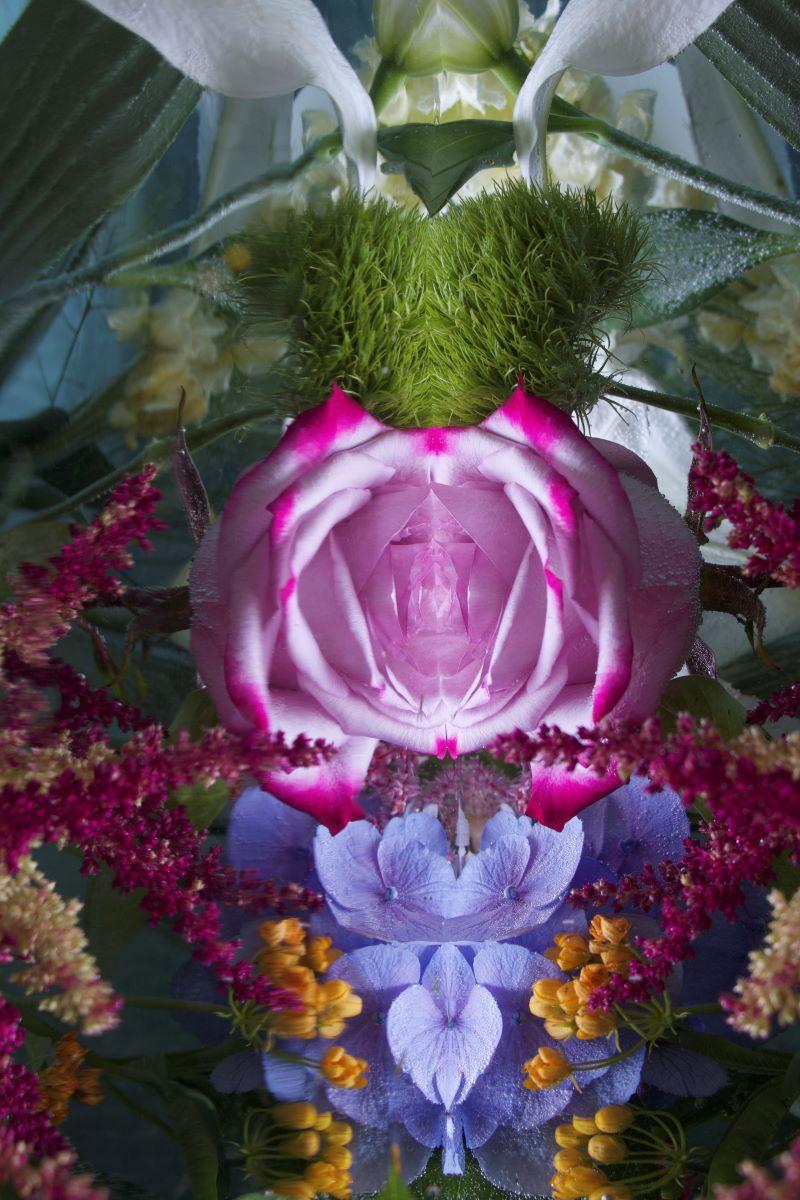 Series: Submerged Garden 
C Print 
Limited Edition of 12

Available Sizes:
36" x 24"
45" x 30"
54" x 36"
60" x 40"
72" x 48"

This photograph will be printed once payment has been received and will ship directly from the printer the artist works