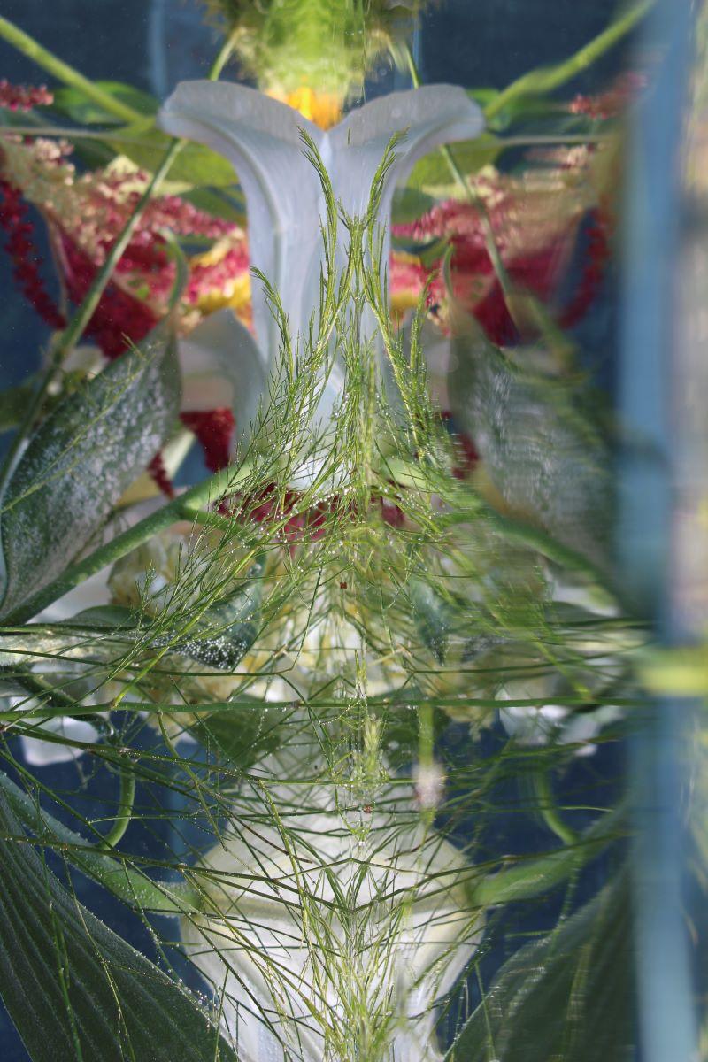 Andrea Bonfils - Submerged Garden 8270, photographie 2018, imprimée d
après