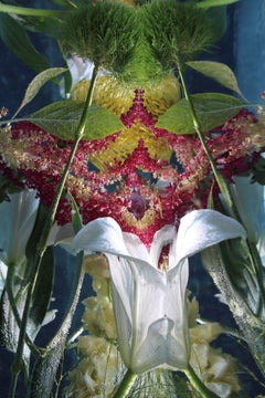 Andrea Bonfils - Submerged Garden 8277, Photography 2018, Printed After