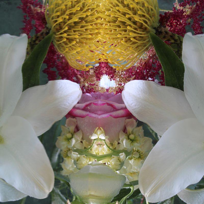 Serie: Jardín Sumergido 
C Imprimir 
Edición limitada de 12 ejemplares

Tallas disponibles:
24" x 24"
30" x 30"
40" x 40"
48" x 48" 
60" x 60"

Esta fotografía se imprimirá una vez recibido el pago y se enviará directamente desde la imprenta con la
