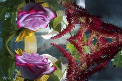 Andrea Bonfils - Submerged Garden 8325, Photography 2018, Printed After