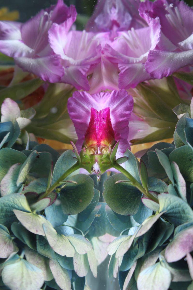 Andrea Bonfils - Submerged Garden 8336, Photography 2018, Printed After