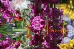 Andrea Bonfils - Giardino sommerso 9033, Fotografia 2018, Stampato Dopo